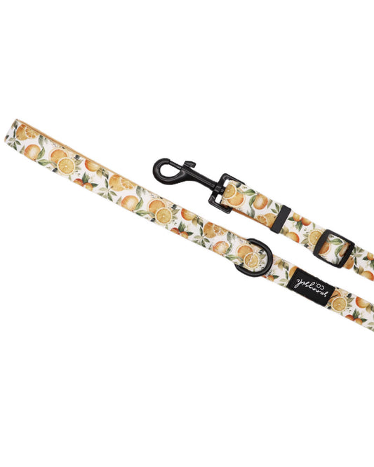 Adjustable Lead - Orange Blossom