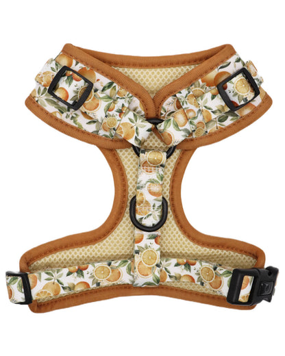 Adjustable Harness - Orange Blossom