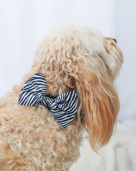Bow Tie - Party Animal