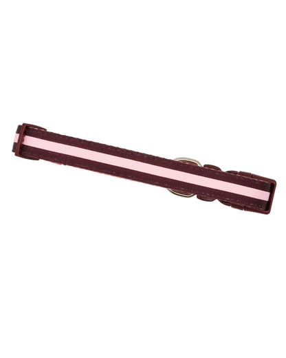 Collar - Burgundy Stripes