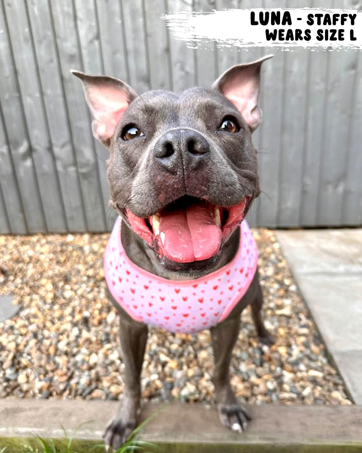 Dog Cooling Vest - Pretty in Pink