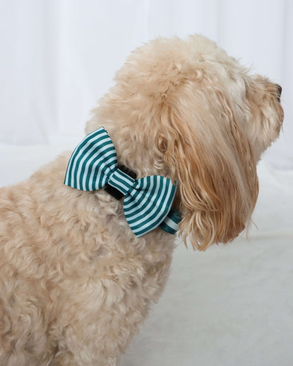 Bow Tie - Teal Stripes