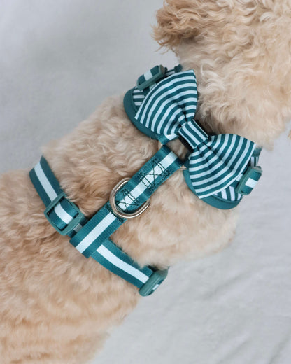 Bow Tie - Teal Stripes