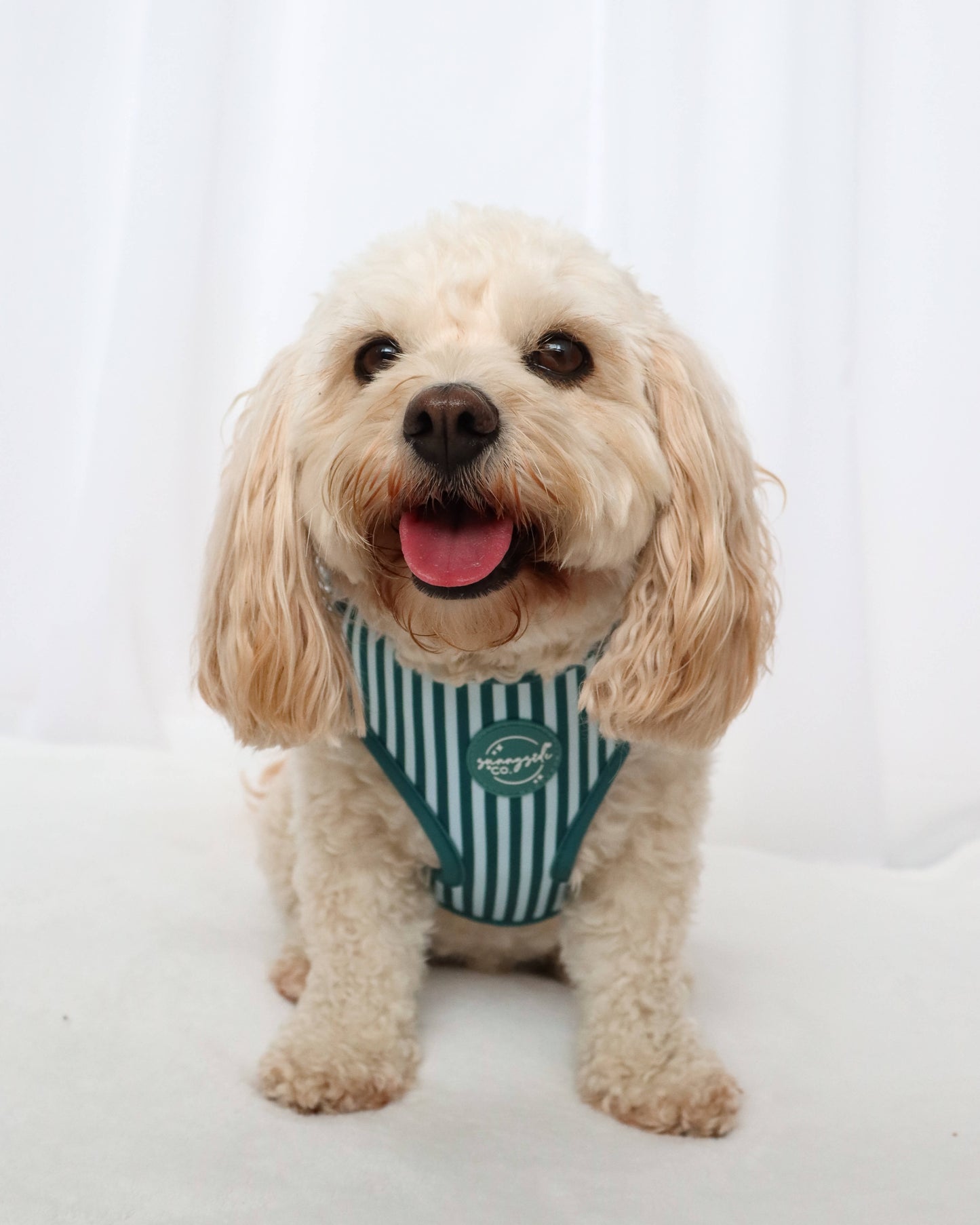 Adjustable Harness - Teal Stripes
