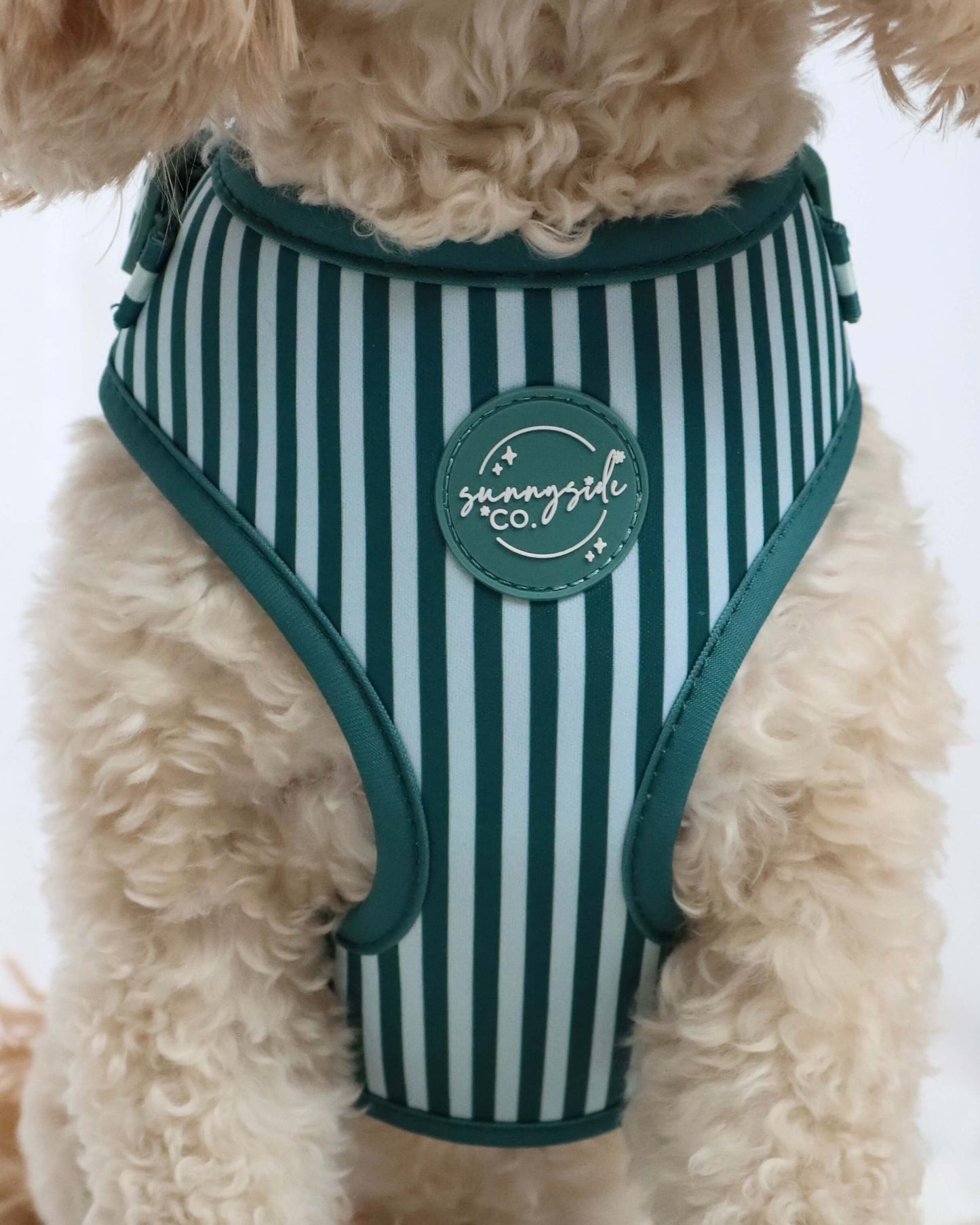 Adjustable Harness - Teal Stripes