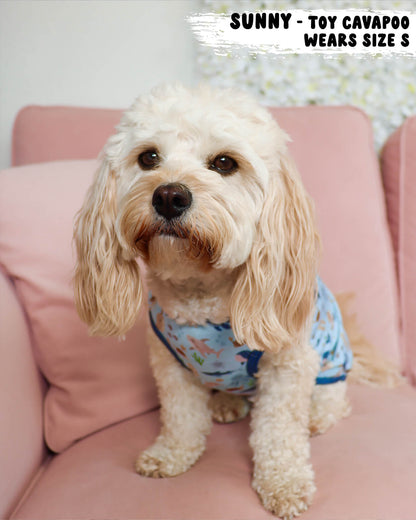 Dog Cooling Vest - Sea of Blue