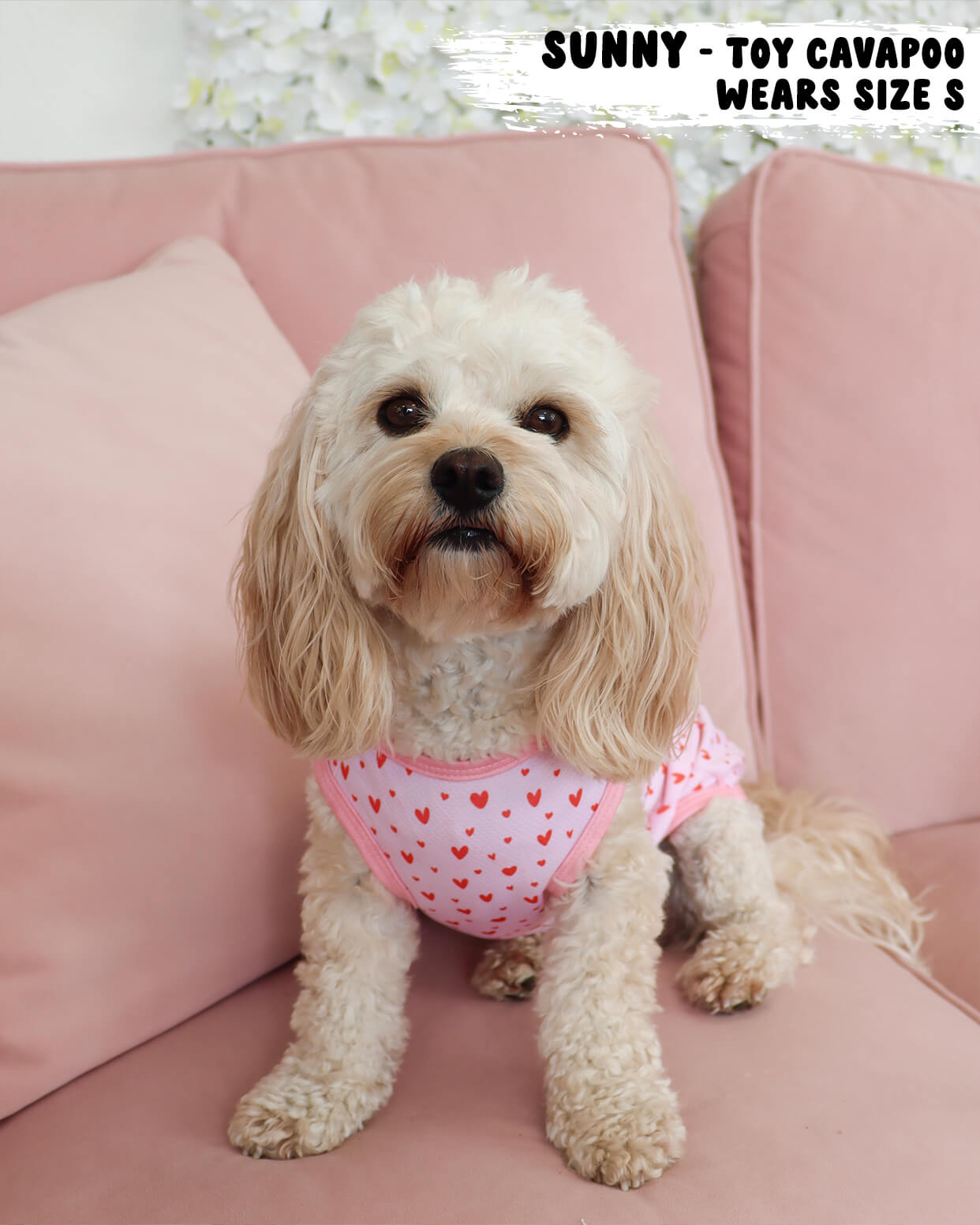 Dog Cooling Vest - Pretty in Pink