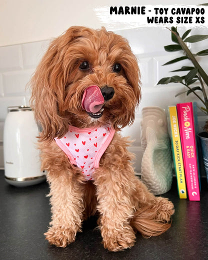 Dog Cooling Vest - Pretty in Pink