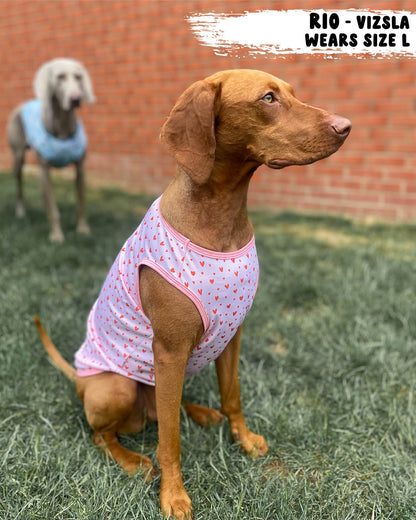 Dog Cooling Vest - Pretty in Pink