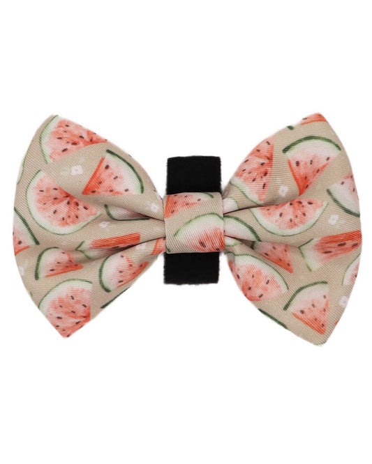 Bow Tie - Watermelon Sugar