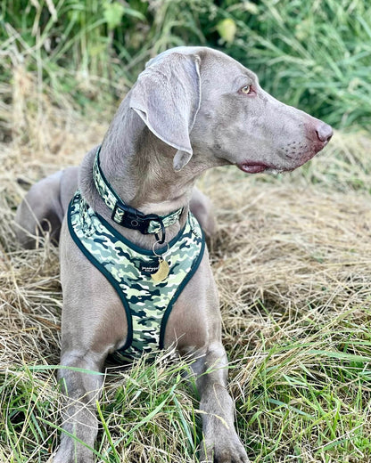 Adjustable Harness - Cool as Camo