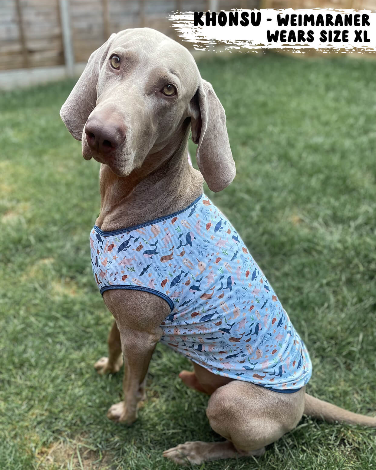 Dog Cooling Vest - Sea of Blue