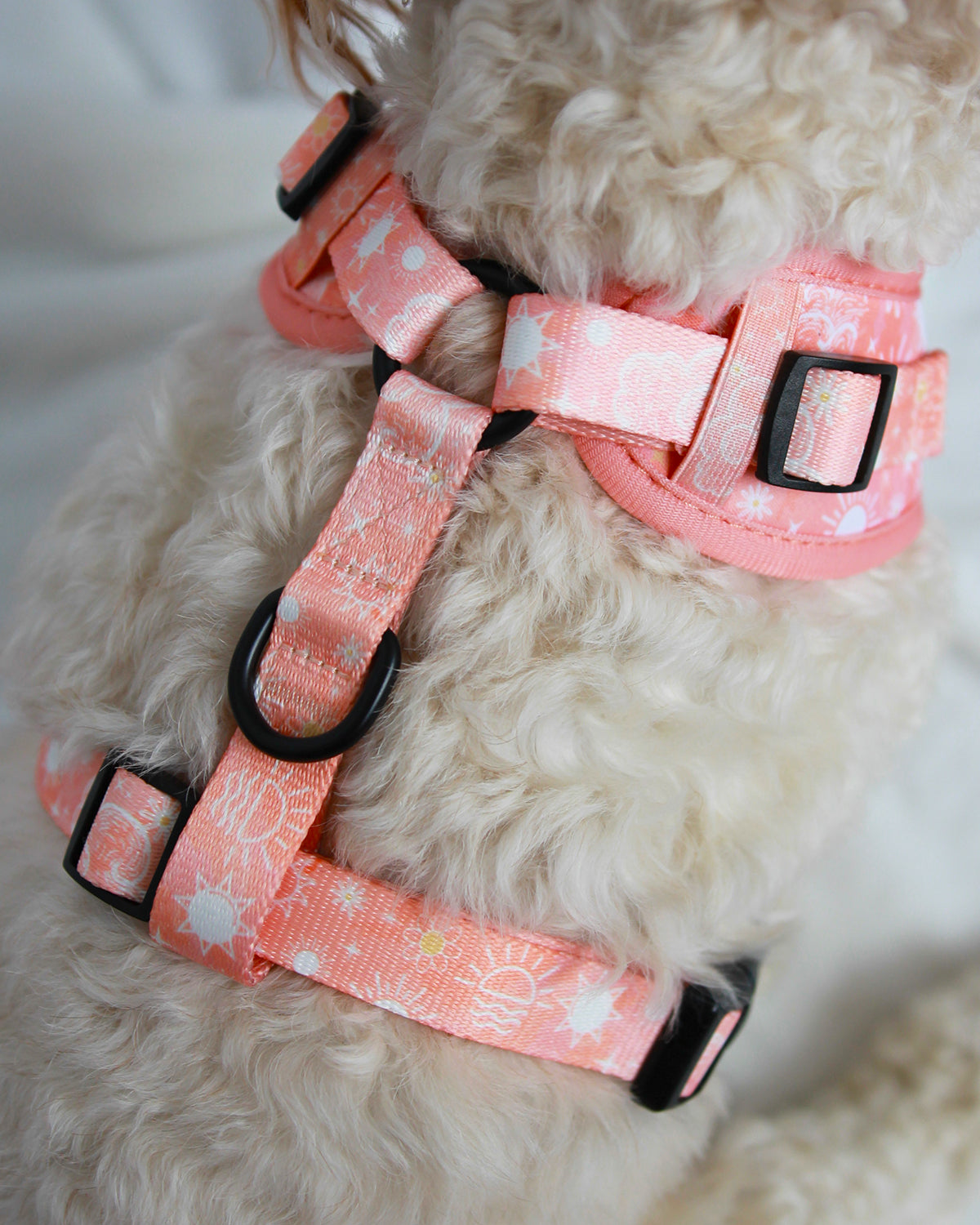 Adjustable Harness - Peach Sunrise