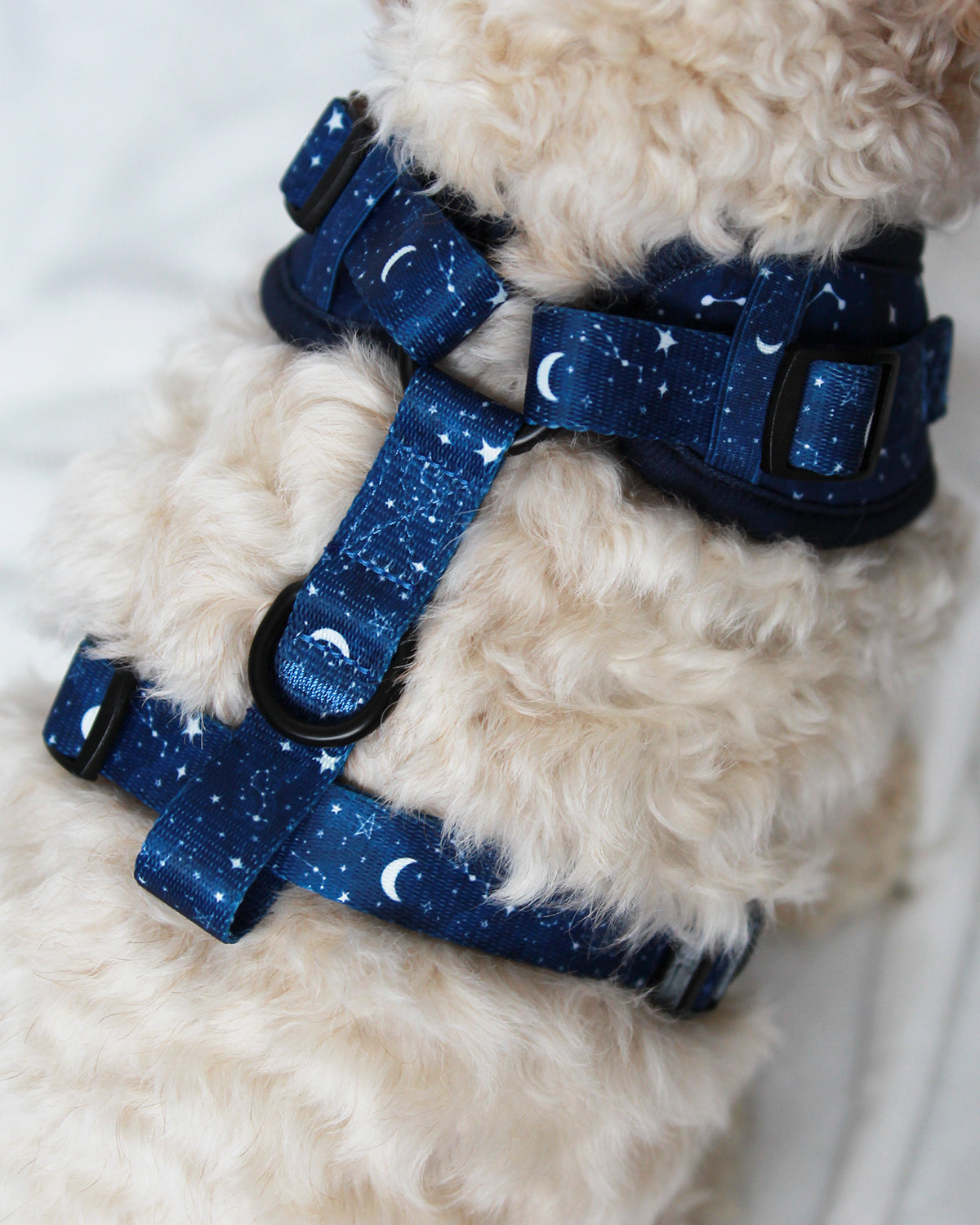 Adjustable Harness - Navy Nights