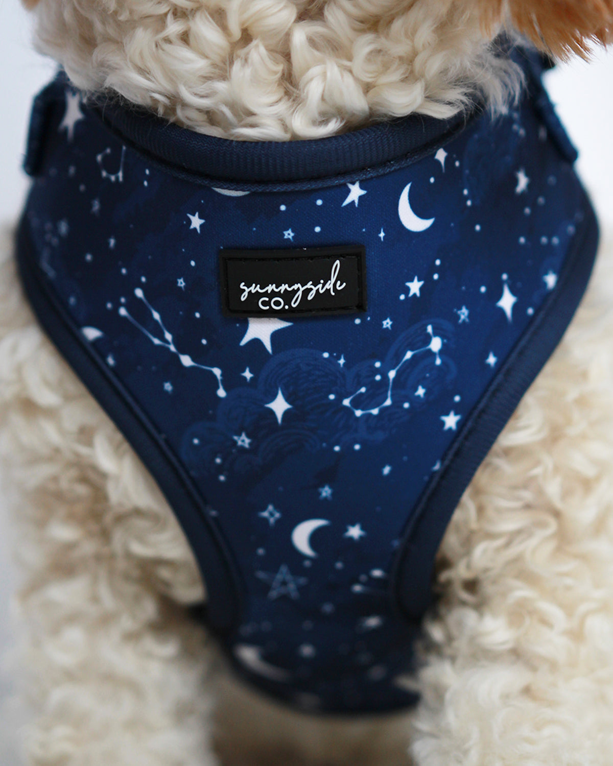 Adjustable Harness - Navy Nights