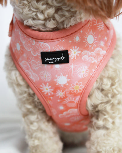 Adjustable Harness - Peach Sunrise