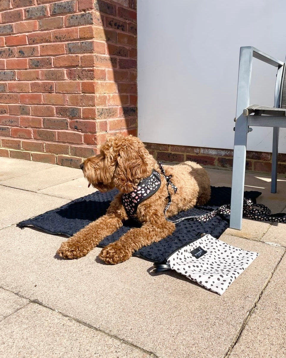 The Original Waterproof Mat Bag - BEIGE