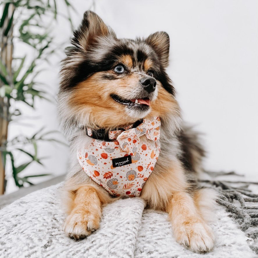 Adjustable Harness - Spotty Hedgedogs