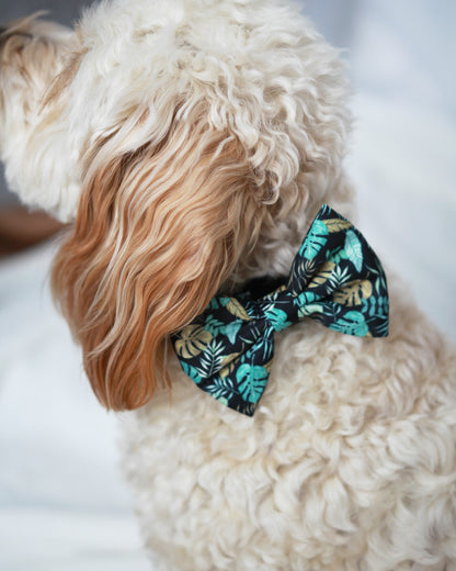 Bow Tie - Golden Palm