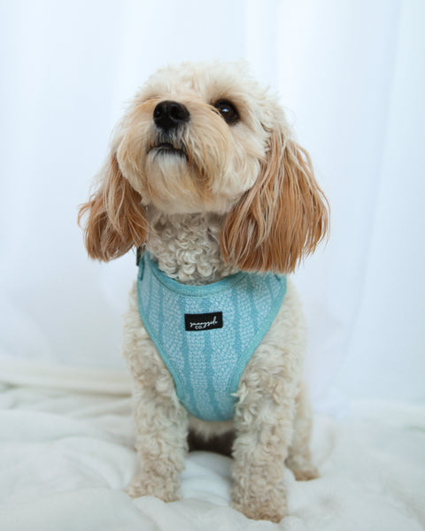 Adjustable Harness - Stitched with Love - ICE BLUE