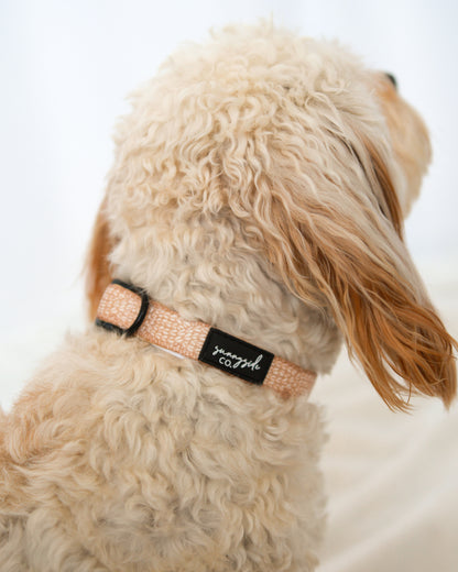 Collar - Stitched with Love - GOLDEN BEIGE