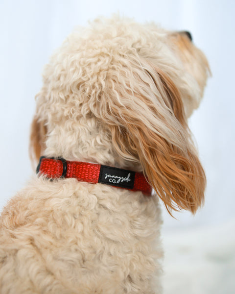 Collar - Stitched with Love - BERRY RED