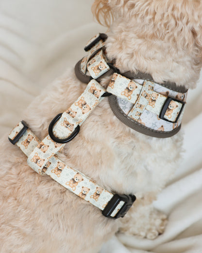 Adjustable Harness - Beary Lovely