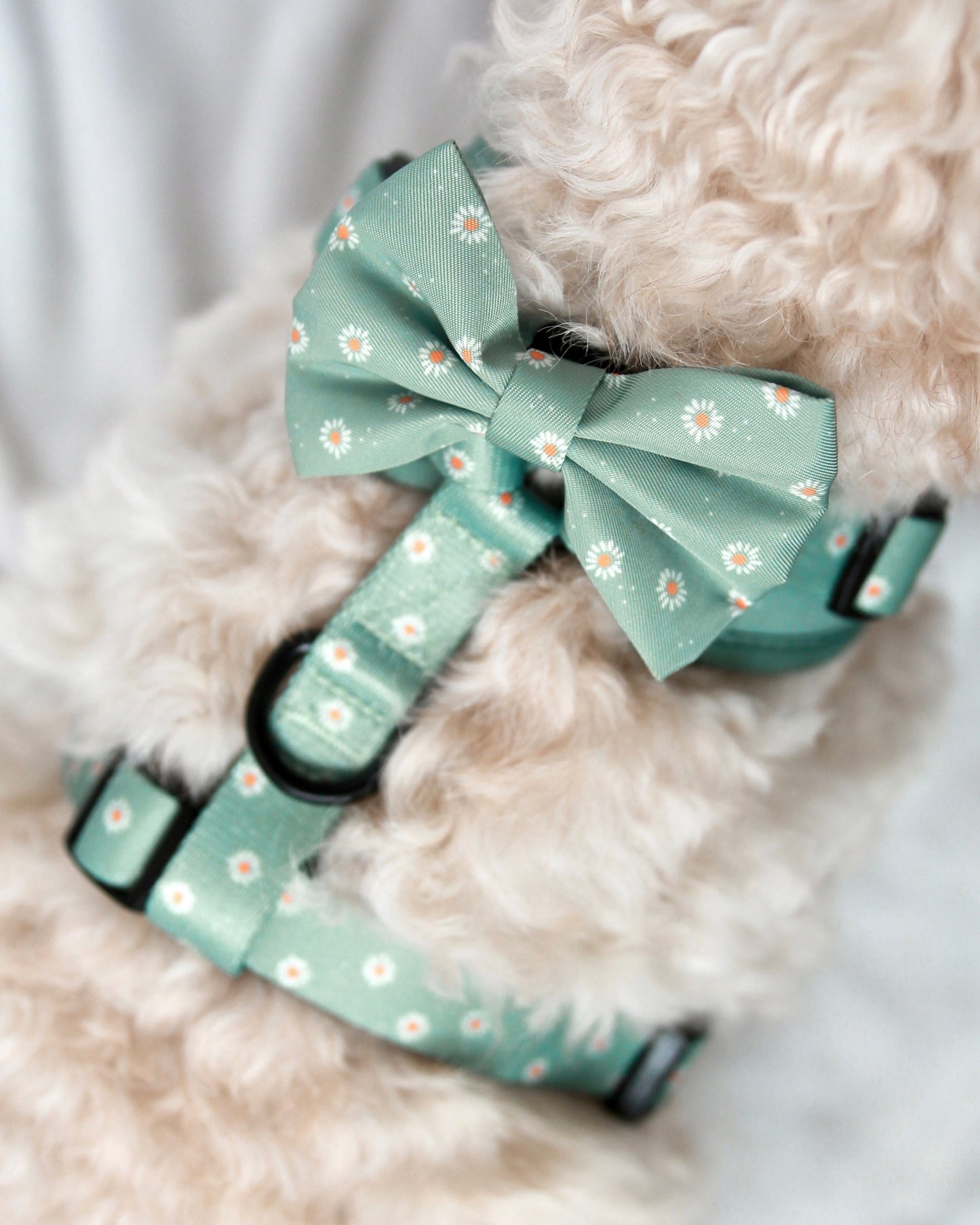 Bow Tie - Sage Daisies