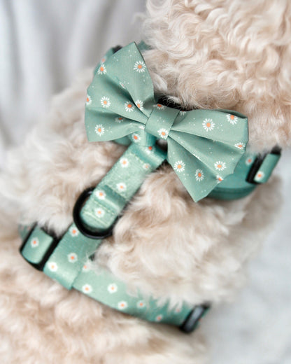 Bow Tie - Sage Daisies