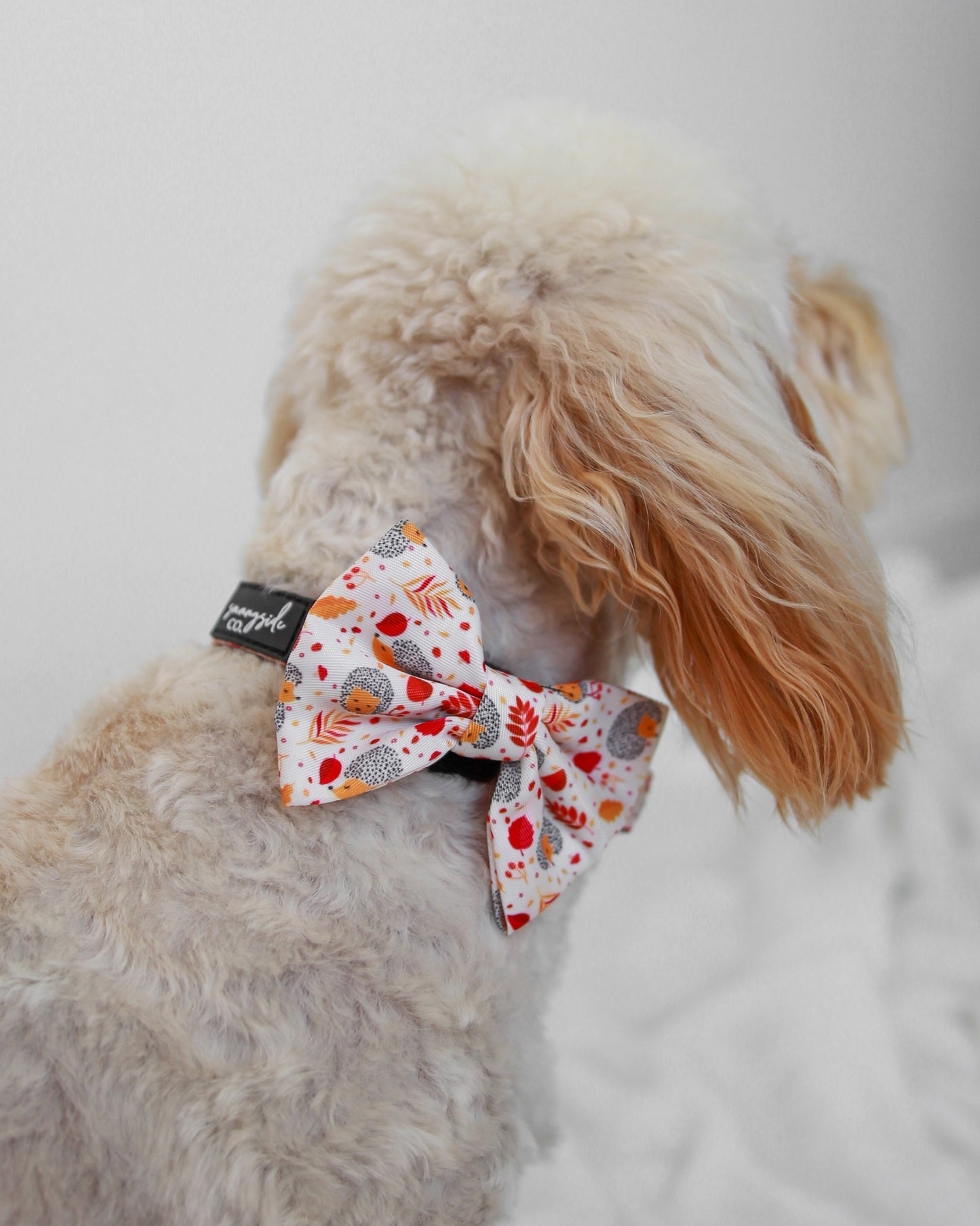 Bow Tie - Spotty Hedgedogs