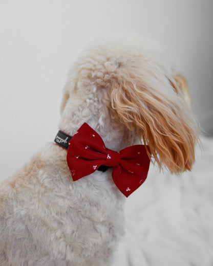 Bow Tie - Burgundy Love