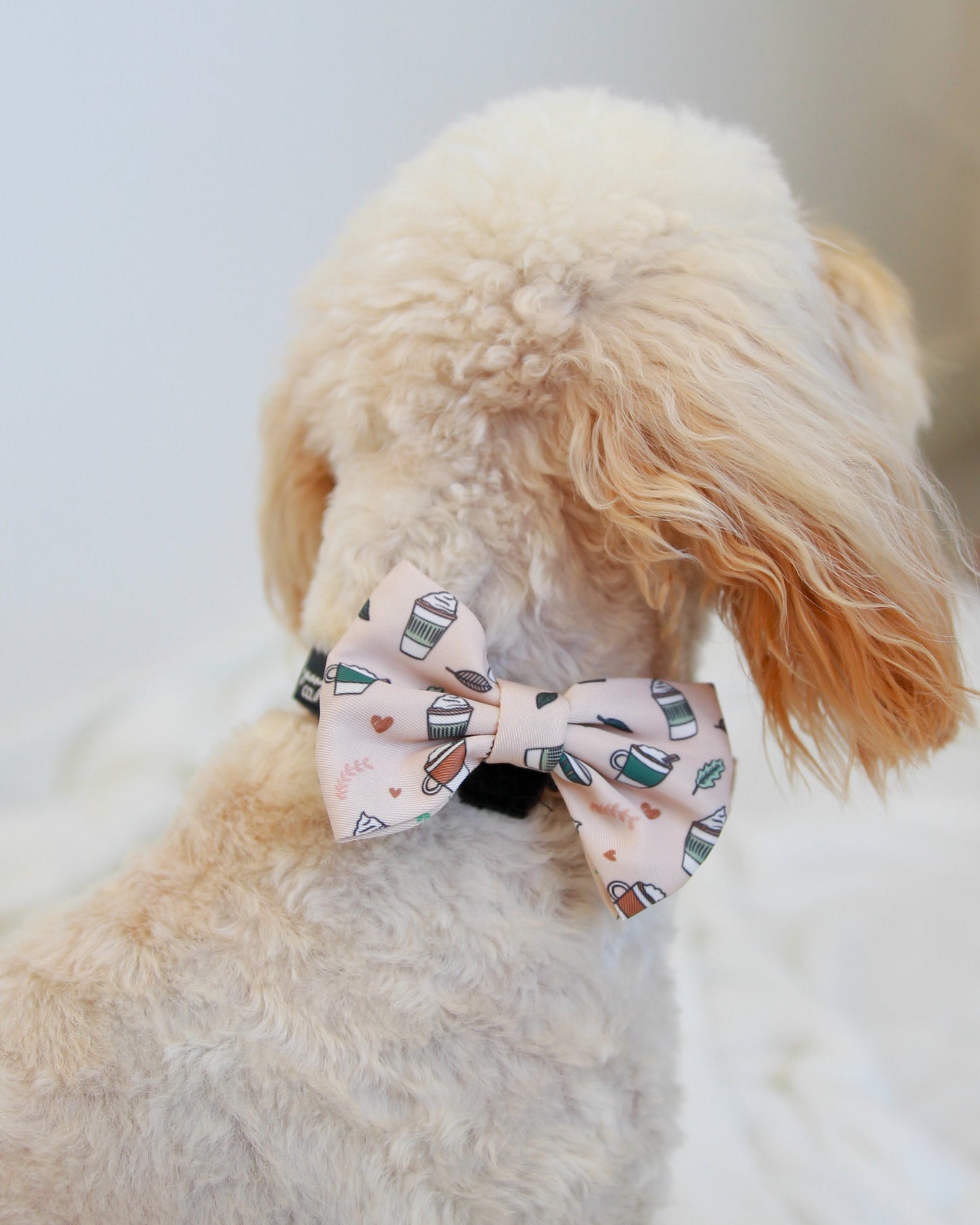 Bow Tie - Pawfee Cups