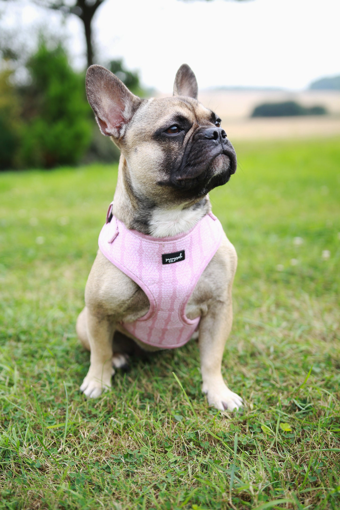 Adjustable Harness - Stitched with Love - DUSKY PINK