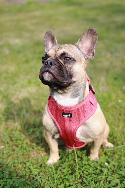 Adjustable Harness - Stitched with Love - BERRY RED