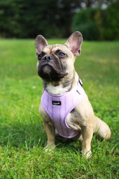 Adjustable Harness - Stitched with Love - LILAC