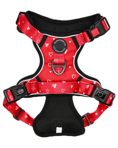 Adventure Harness - Burgundy Love