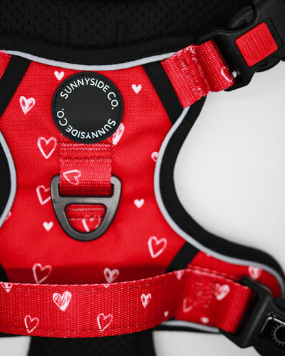 Adventure Harness - Burgundy Love