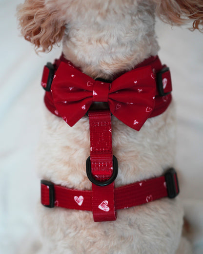 Bow Tie - Burgundy Love