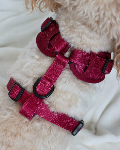 Adjustable Harness - Burgundy Doodles