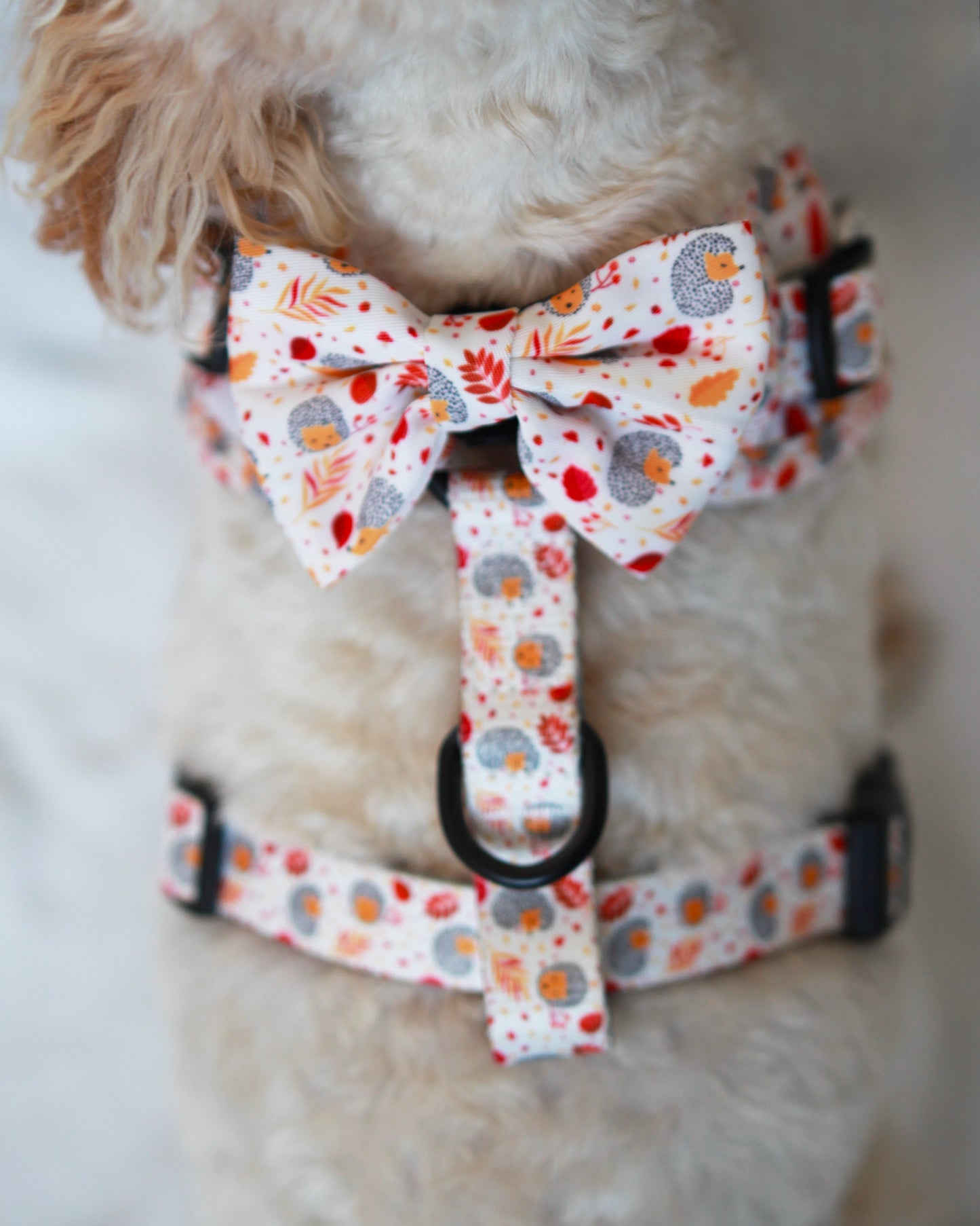 Bow Tie - Spotty Hedgedogs