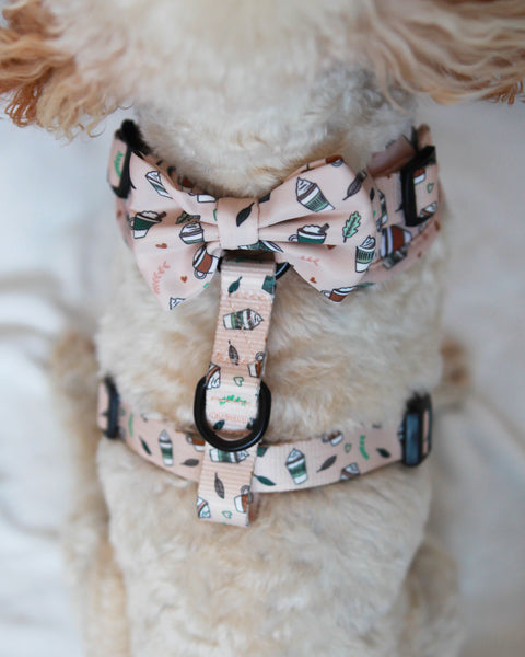 Bow Tie - Pawfee Cups