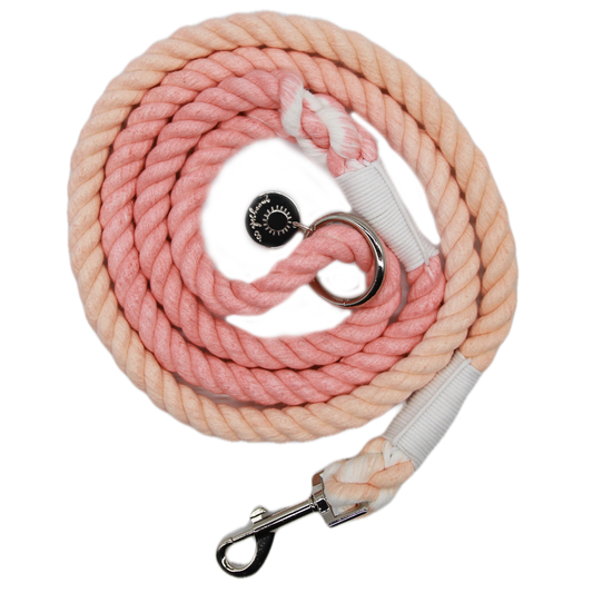 Sweet Peach - Rope Lead