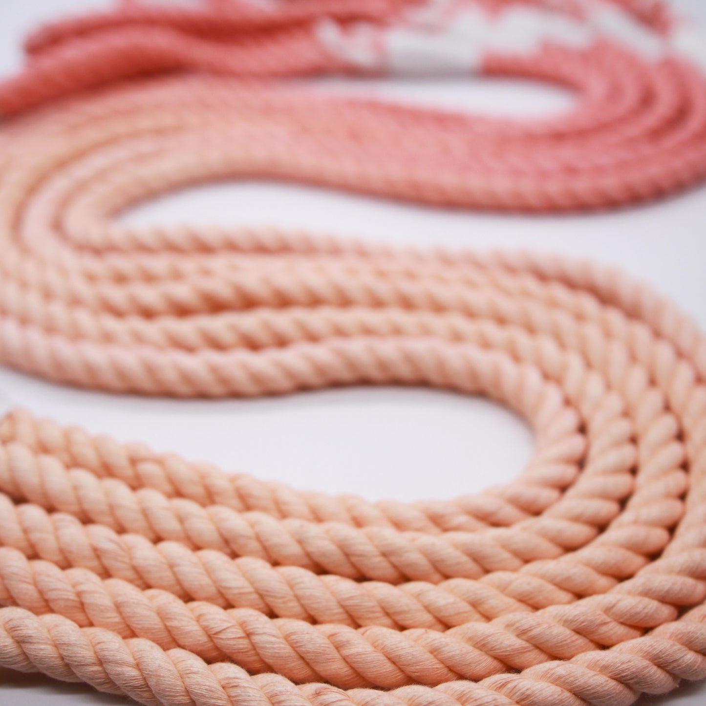 Sweet Peach - Rope Lead