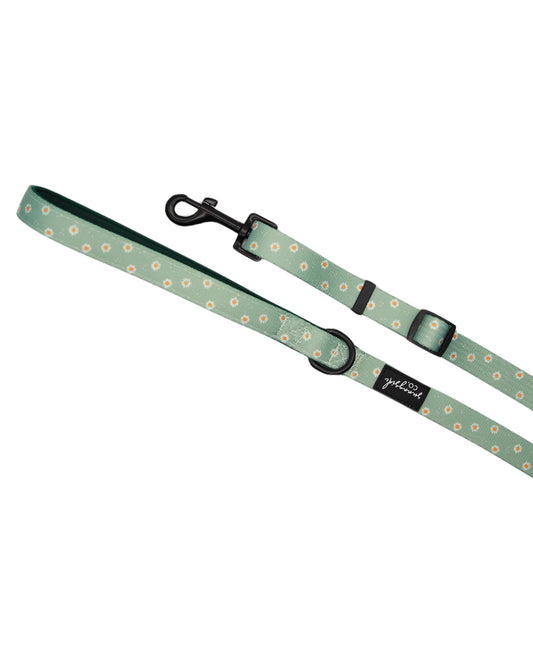 Adjustable Lead - Sage Daisies