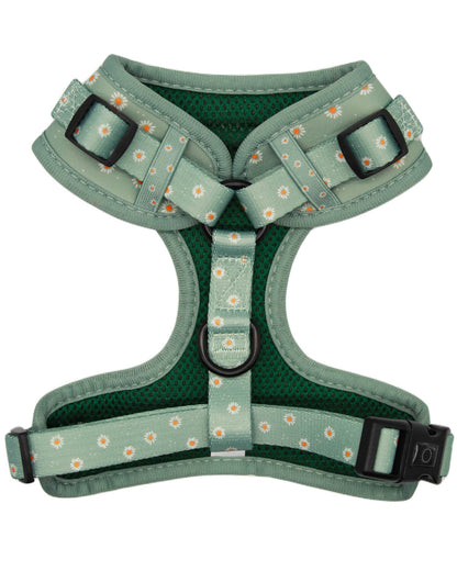 Adjustable Harness - Sage Daisies