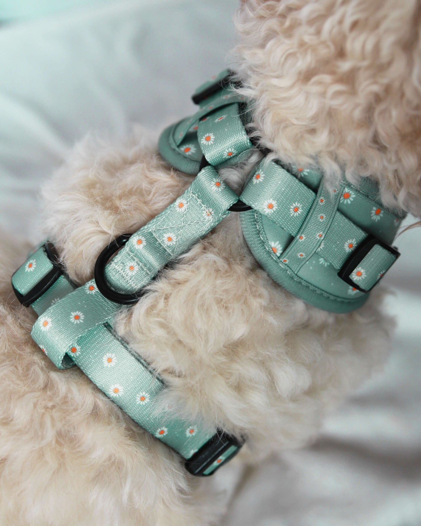 Adjustable Harness - Sage Daisies