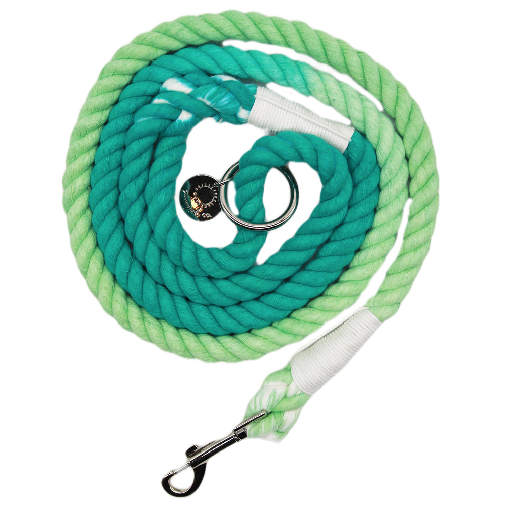Mint Teal Rope Lead Sunnyside Co